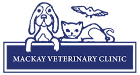 Mackay Vet Logo